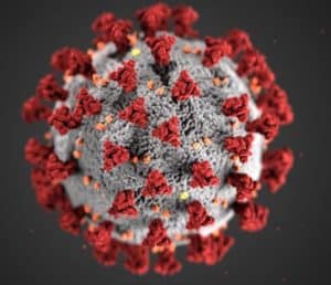 Imagen de la cobertura de: Reportan brotes de influenza y casos de COVID-19 en escuelas de Puerto Rico