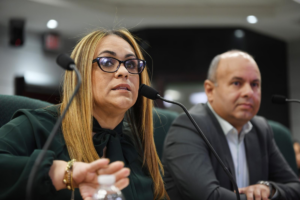 Imagen del artículo de Radio Isla 1320: PFEI archiva investigación penal contra expresidenta de la CEE