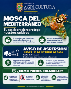 Imagen del artículo de Radio Isla 1320: Agricultura iniciará aspersión terrestre contra la mosca del Mediterráneo este jueves en San Juan